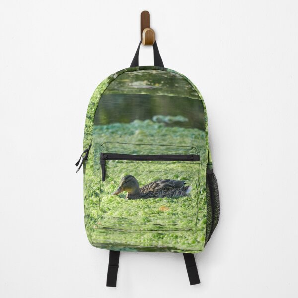 Item preview, Green porridge and a mallard designed and sold by Jouko Lehto Photography.