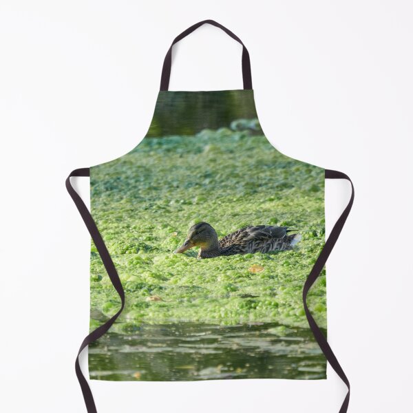 Item preview, Green porridge and a mallard designed and sold by Jouko Lehto Photography.