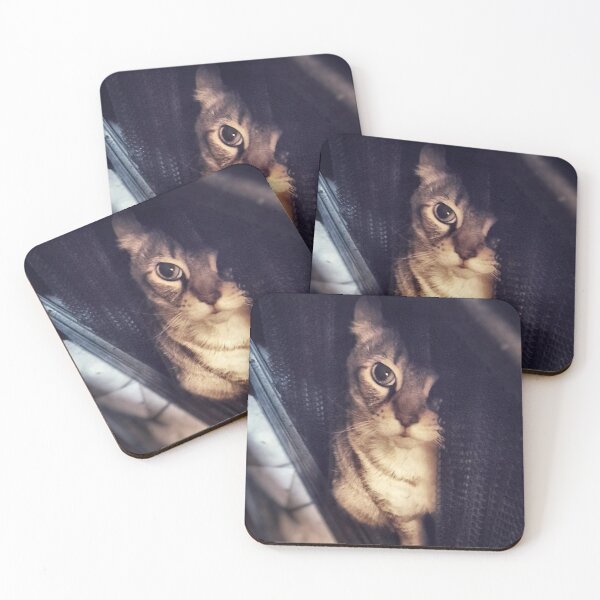 Item preview, Hide & Seek designed and sold by Jennifer Phipps.
