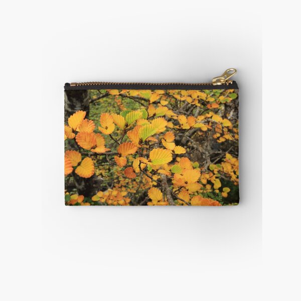 Item preview, FAGUS UPDATE from Crater Lake designed and sold by tinnieopener.