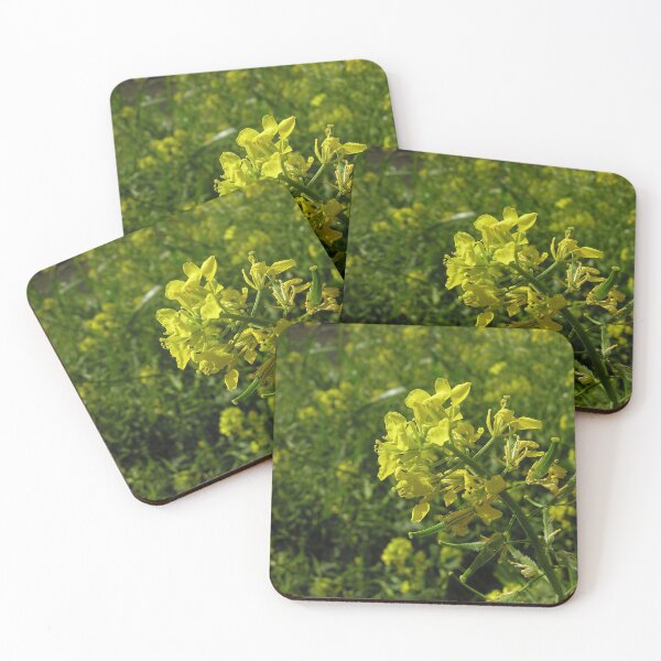 Item preview, Mustard on the field designed and sold by Kiran-Fine-Art.
