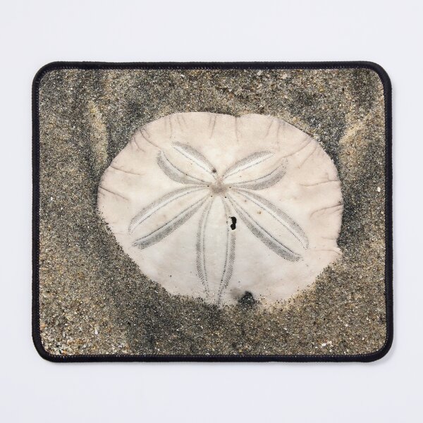 Item preview, Sand dollar designed and sold by SunnyDesignsCo.