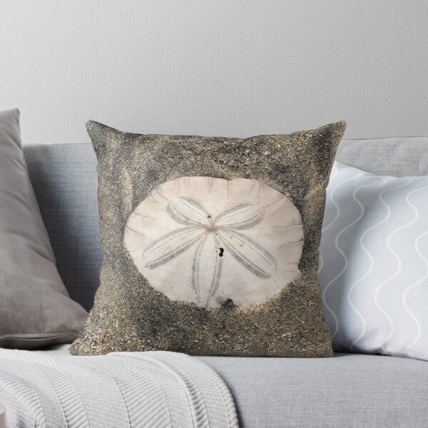 Item preview, Sand dollar designed and sold by SunnyDesignsCo.