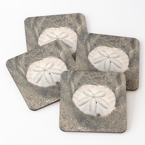 Item preview, Sand dollar designed and sold by SunnyDesignsCo.