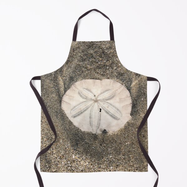 Item preview, Sand dollar designed and sold by SunnyDesignsCo.