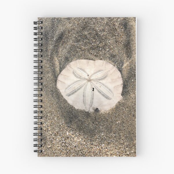 Item preview, Sand dollar designed and sold by SunnyDesignsCo.