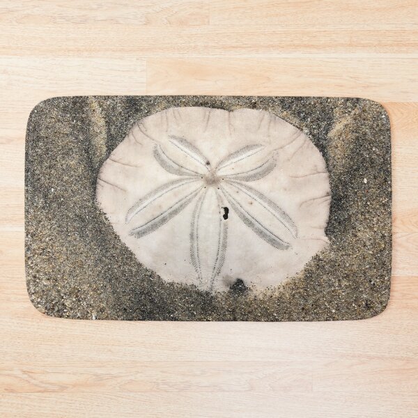 Item preview, Sand dollar designed and sold by SunnyDesignsCo.