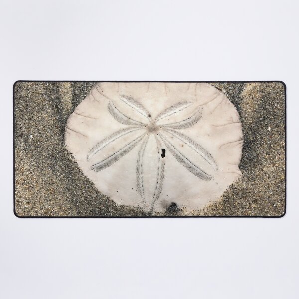 Item preview, Sand dollar designed and sold by SunnyDesignsCo.