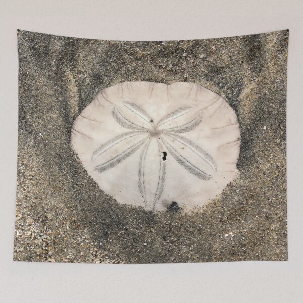 Item preview, Sand dollar designed and sold by SunnyDesignsCo.
