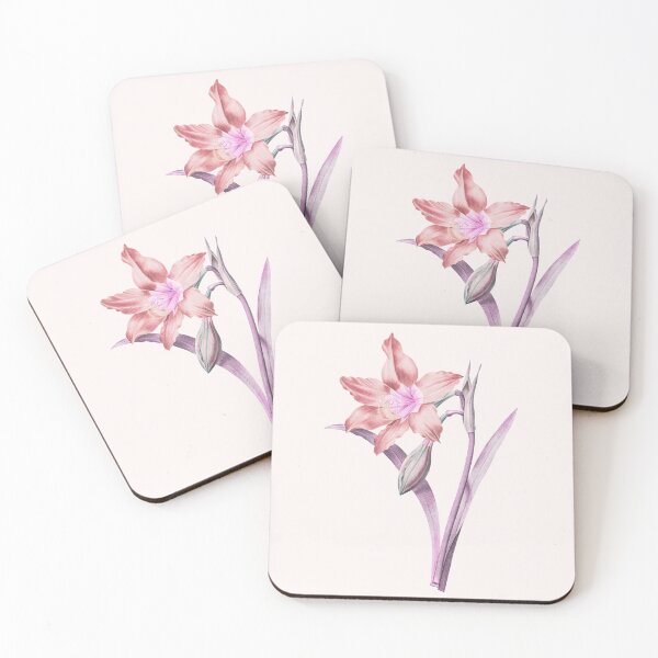 Item preview, Pink Alt of Amaryllis Equestre Flower designed and sold by DaphneKstudio .