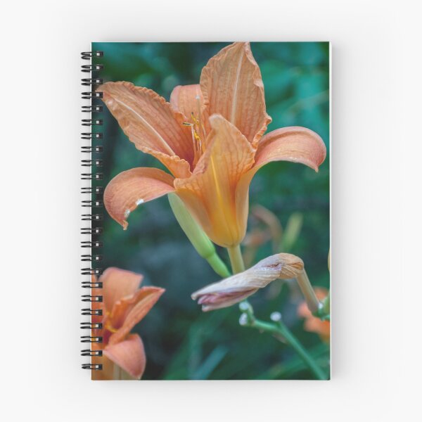 Item preview, Day Lilies designed and sold by Rebecca Bryson.