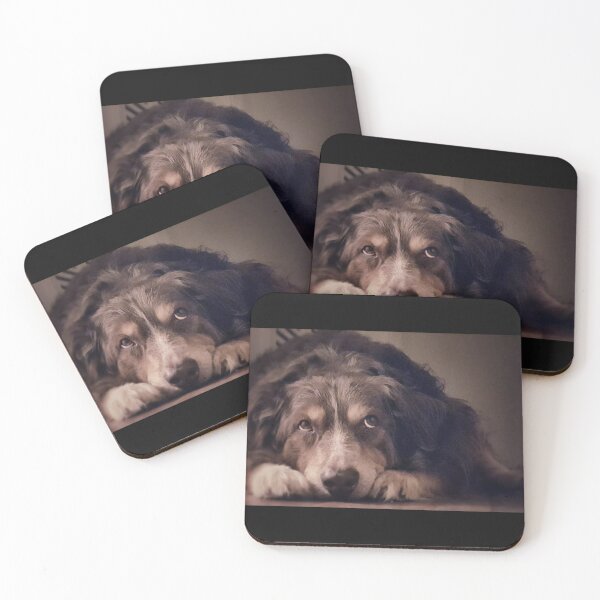 Item preview, Merlin designed and sold by Jennifer Phipps.