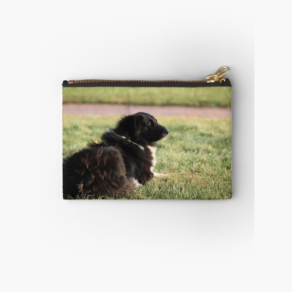 Item preview, old dog designed and sold by mrivserg.