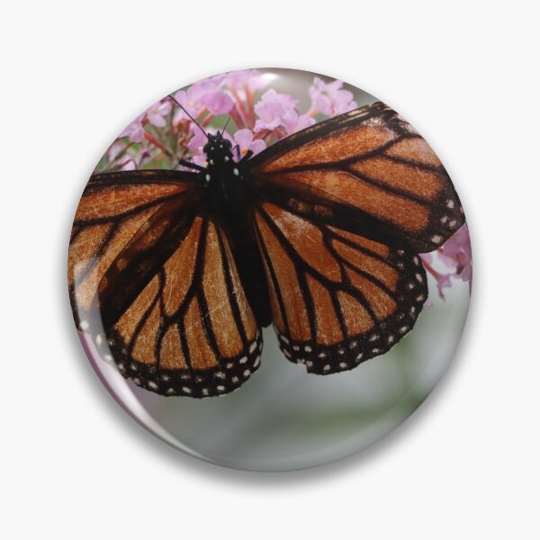 Item preview, Tattered Beauty designed and sold by LisaNaturePhoto.
