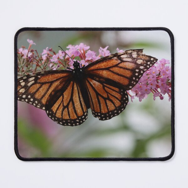 Item preview, Tattered Beauty designed and sold by LisaNaturePhoto.