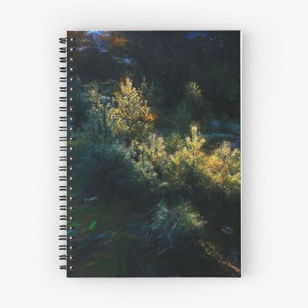 Item preview, Splash of Light in the White Pine designed and sold by Wayne King.
