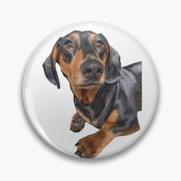 Item preview, Percy designed and sold by Kerrie-Ann Ellison.