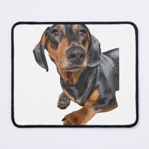 Item preview, Percy designed and sold by Kerrie-Ann Ellison.