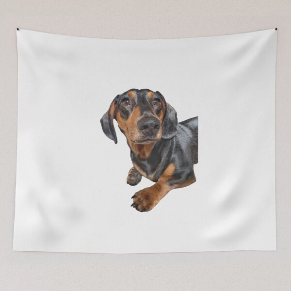 Item preview, Percy designed and sold by Kerrie-Ann Ellison.