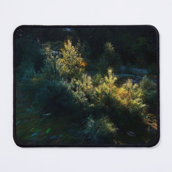 Item preview, Splash of Light in the White Pine designed and sold by Wayne King.