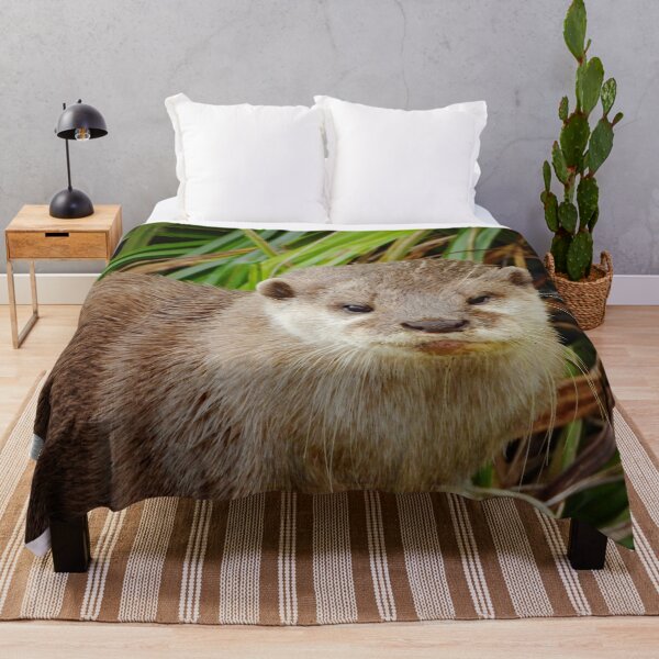 Artikelvorschau, Ein entzückender asiatischer Kurzkrallenotter entworfen und verkauft von Karen Thomson.