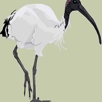 Artwork thumbnail, Bin Chicken by ZarditDesigns
