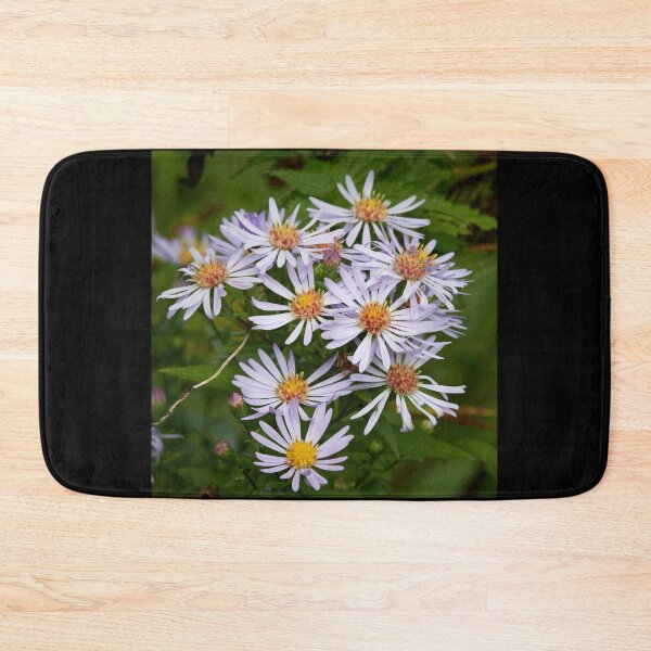 Item preview, The spreading New York aster designed and sold by Jouko Lehto Photography.