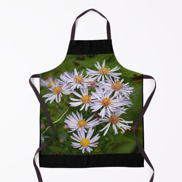 Item preview, The spreading New York aster designed and sold by Jouko Lehto Photography.