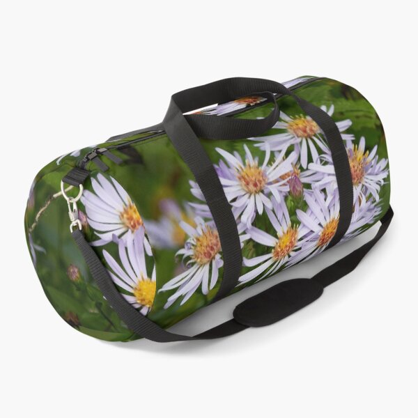Item preview, The spreading New York aster designed and sold by Jouko Lehto Photography.