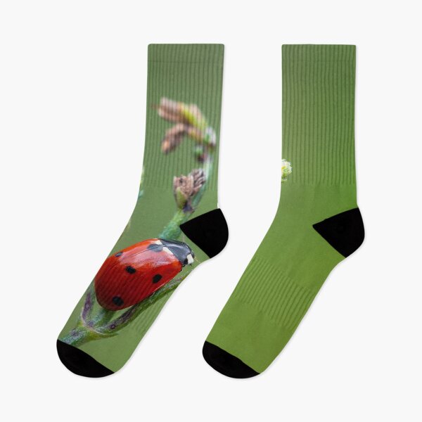 Item preview, Red ladybug insect sitting on flower designed and sold by Millenn.
