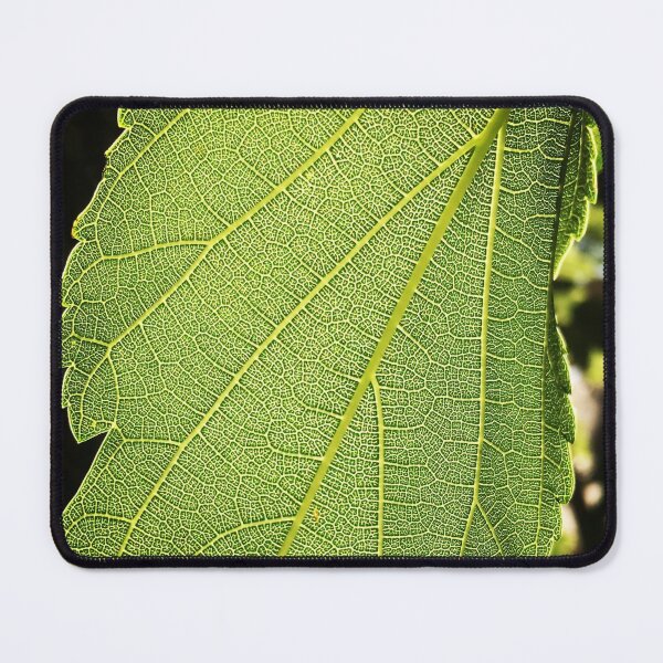 Item preview, Veiny Leaf designed and sold by tammifox.