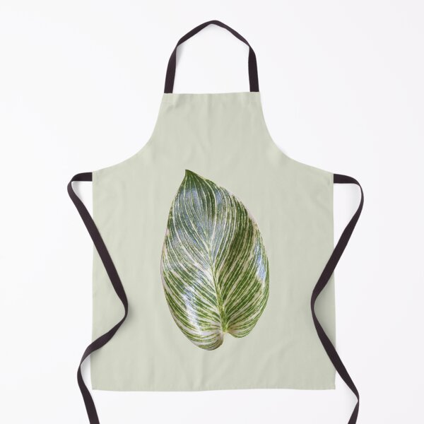 Item preview, Philodendron Birkin designed and sold by mooneko.