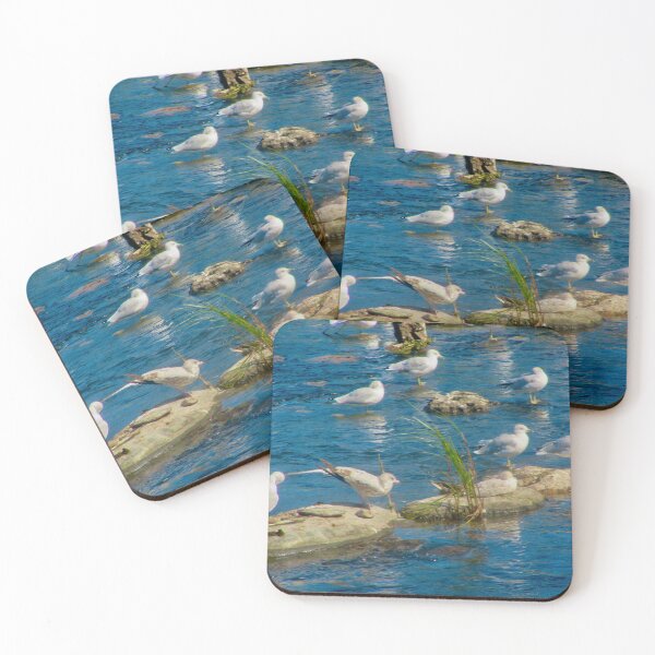Item preview, Seagulls designed and sold by Shulie1.