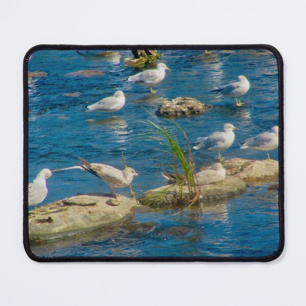 Item preview, Seagulls designed and sold by Shulie1.