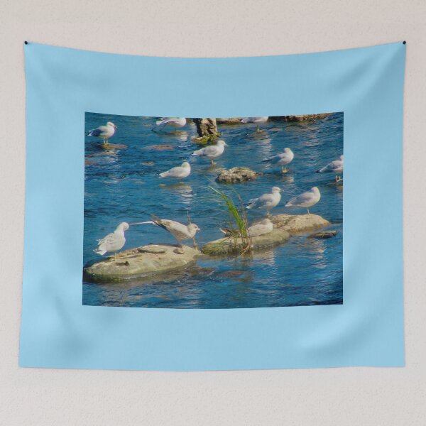 Item preview, Seagulls designed and sold by Shulie1.