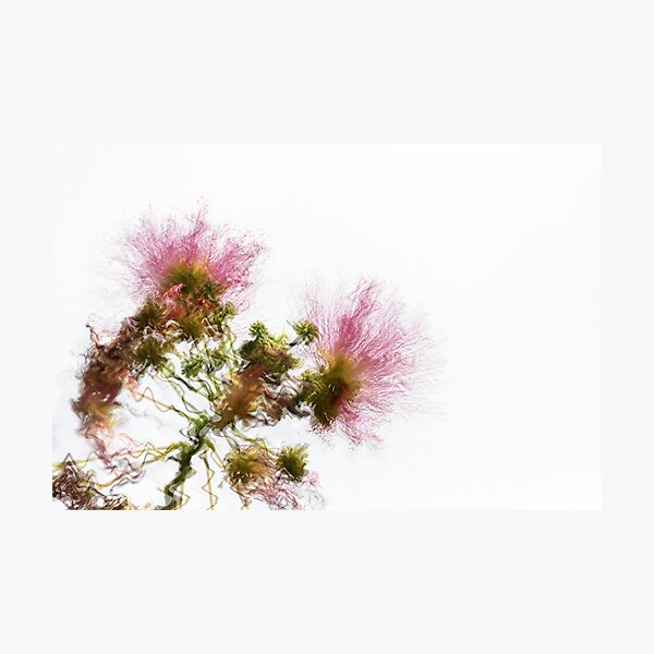Item preview, Electric Flowers designed and sold by Antonio Arcos Toscano.