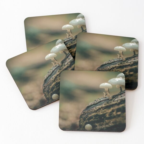 Item preview, Mushrooms designed and sold by VoidDesigns.