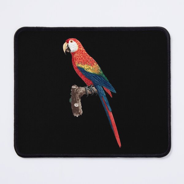 Item preview, Ara Canga Red & Yellow Maccaw Parrot by Francois Levaillant designed and sold by NovisPets.