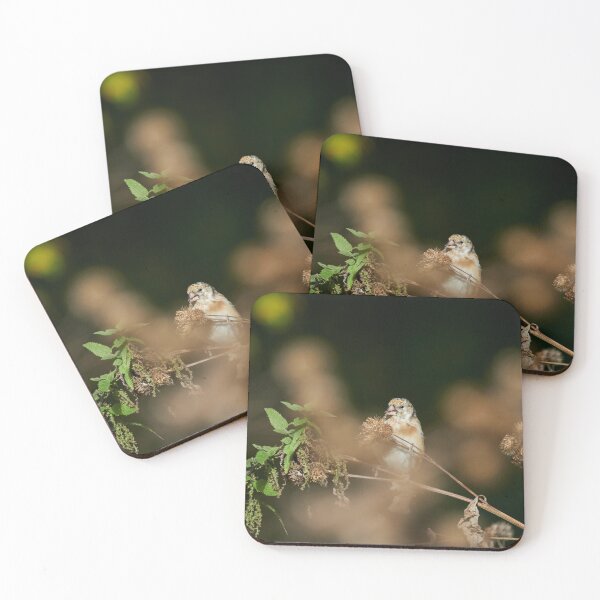 Item preview, The young one with the delicious Creeping Thistle. European goldfinch designed and sold by Jouko Lehto Photography.