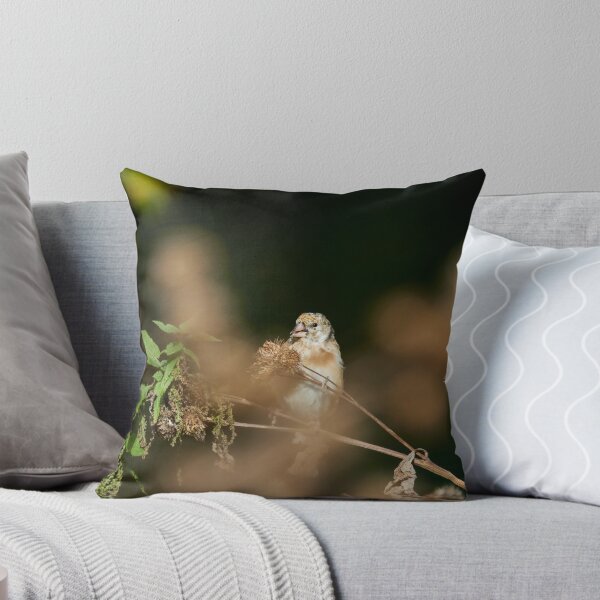 Item preview, The young one with the delicious Creeping Thistle. European goldfinch designed and sold by Jouko Lehto Photography.
