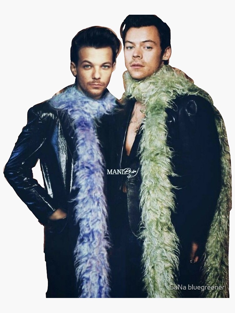 louis and harry | Sticker