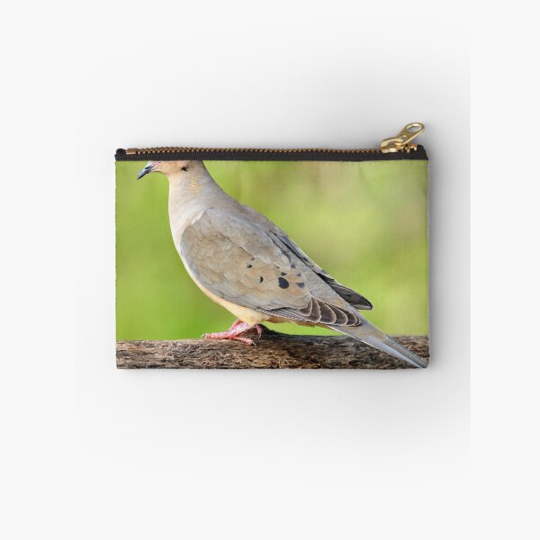 Item preview, Mourning Dove designed and sold by ziggy7.