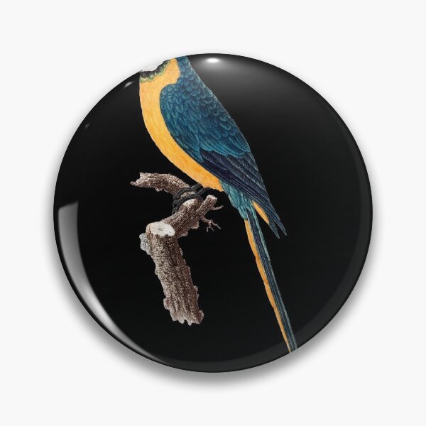 Item preview, Blue And Yellow Macaw Ara Ararauna Parrot by Francois Levaillant designed and sold by NovisPets.