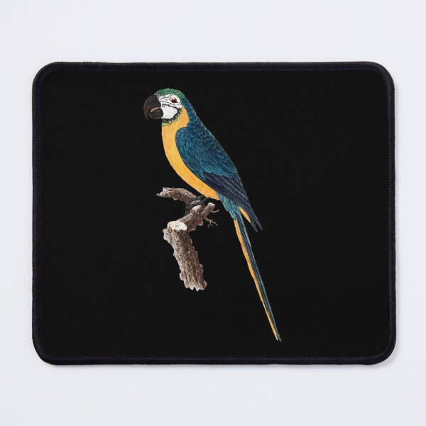 Item preview, Blue And Yellow Macaw Ara Ararauna Parrot by Francois Levaillant designed and sold by NovisPets.