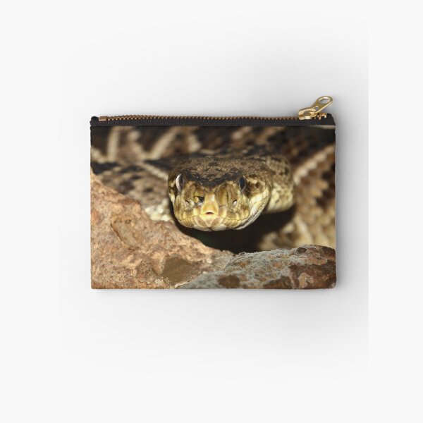Item preview, Rattle Snake designed and sold by neil harrison.