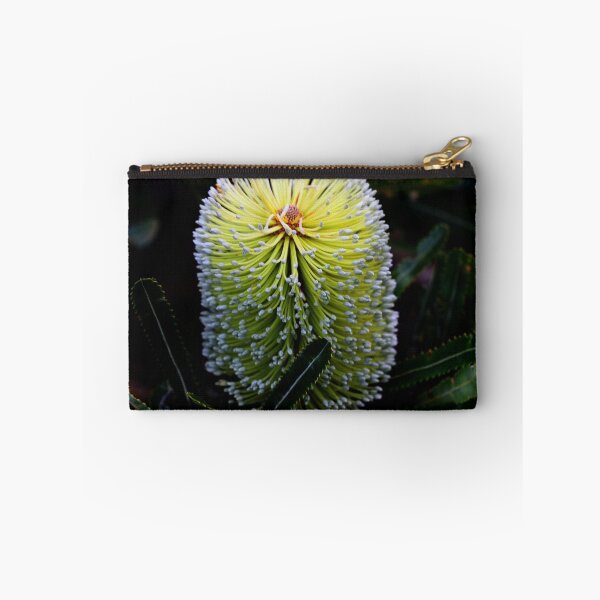 Item preview, Banksia aemula  designed and sold by andrachne.