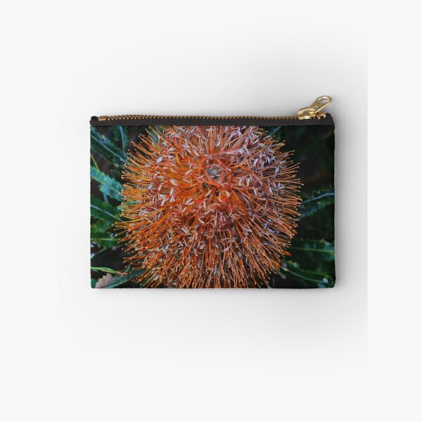 Item preview, Banksia aemula  designed and sold by andrachne.