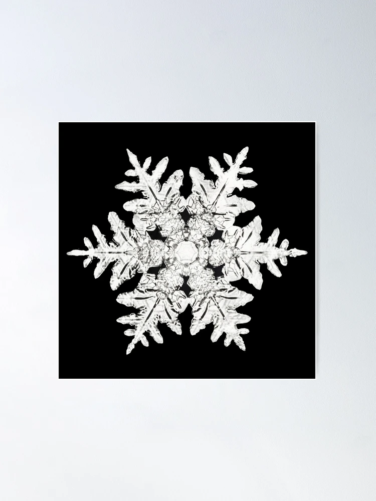 Silver Snowflakes 4 Poster Print by Melody Hogan - Item # VARPDXMHSQ233D -  Posterazzi