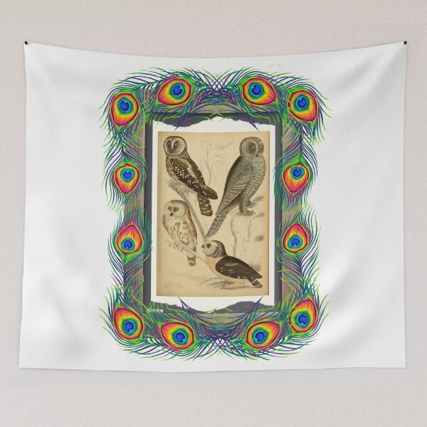 Item preview, Zoological board "Owls". designed and sold by AdvanceDesign.