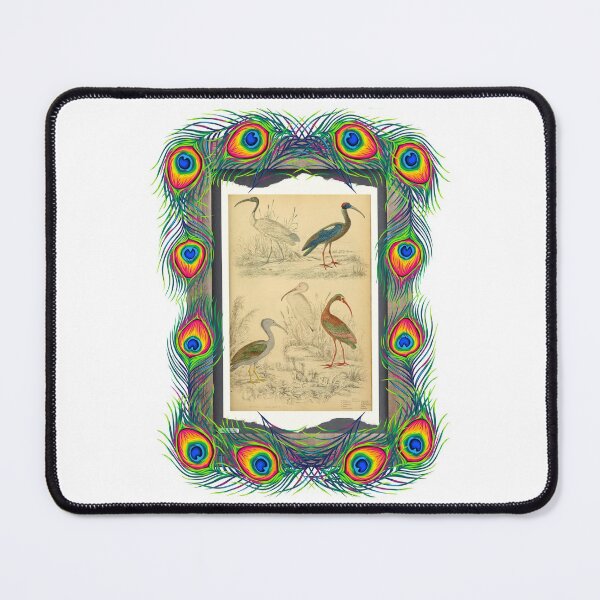 Item preview, Zoological board "Ibis". designed and sold by AdvanceDesign.